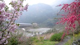 駒坂潜水橋
