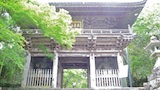 31番 竹林寺