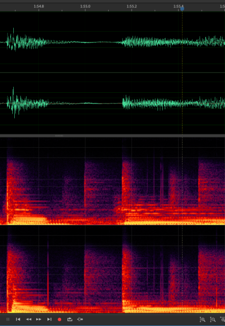 Scratch Noise Pattern