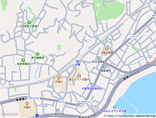 Standard Street Map