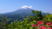富士山を正面に