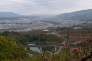 紀ノ川の流域を一望
