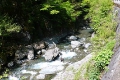 早戸川の渓流