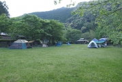 芝生の上にテントを設営
