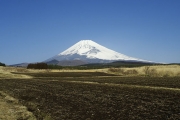 富士山を望む
