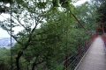 公園の吊り橋