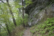 崖下の道