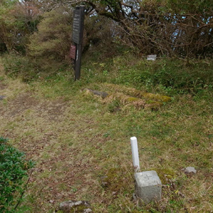 お目当ての三角点