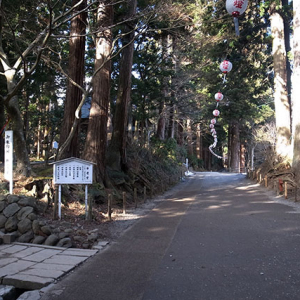 中尊寺の参道