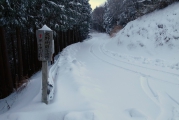 タイノ原林道