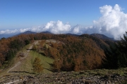 下山する事に