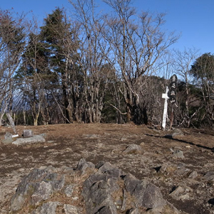 毛無山の頂上