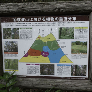 自然探求路の案内板