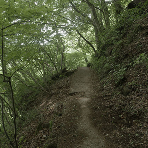 コンクリート歩道