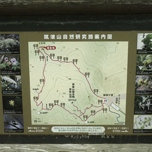 自然探求路コース