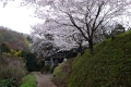 栃窪神社