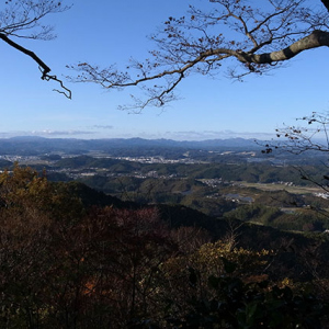 白河市街を一望