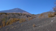 目の前に富士山の勇姿が