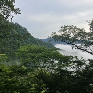眼下に雲海