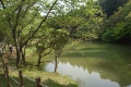 はたご池 はたご池