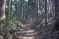 山道に入る 山道に入る