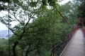 公園の吊り橋 公園の吊り橋
