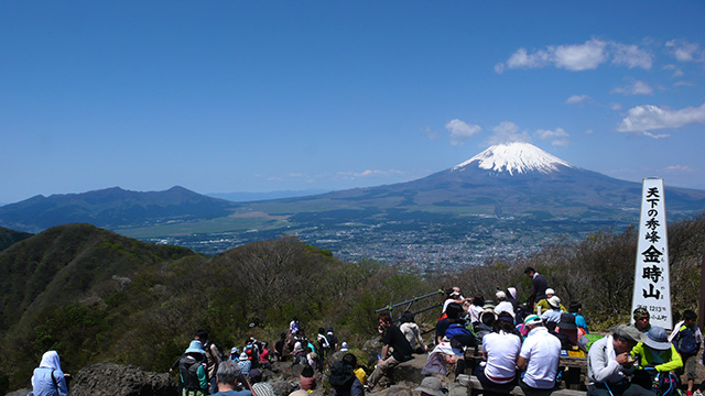 今日の富士山(金時山にて）