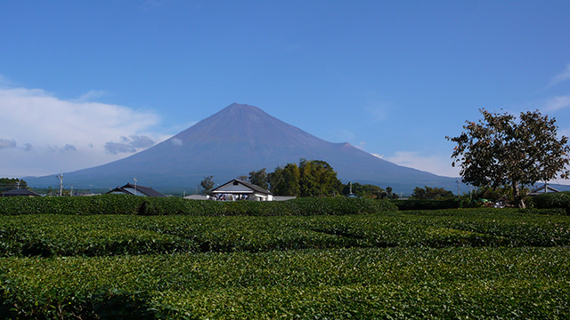 Today's Fuji