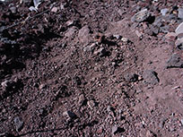 富士山特有の赤茶けた砂礫