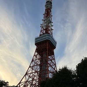 絵になる東京タワー