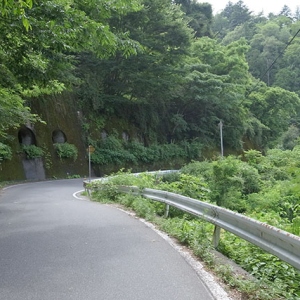 旧飯田線のトンネル